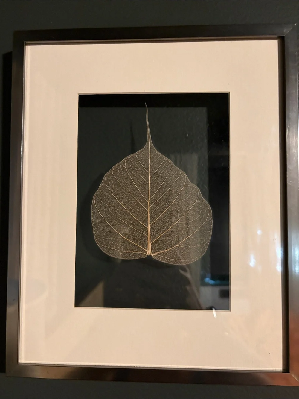 Neutral Skeleton Leaf Framed Wall Art - Set of 2